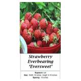 Strawberry Everbearing Eversweet