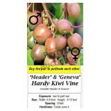 Hardy Kiwi Vine - Pollinator Pair