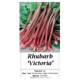 Rhubarb Victoria Red