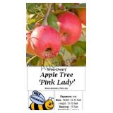 Apple Tree Pink Lady