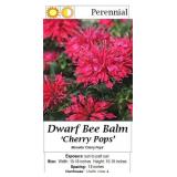Bee Balm Red Cherry Pops Dwarf