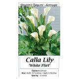 White Flirt Calla Lily Annual