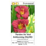 Daylily Red Rebloomer Pardon Me