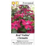 Clematis Vine Red Nubia