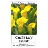 Sunclub Yellow Calla Lily Annual