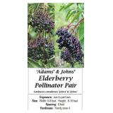 Elderberry-  Pollinator Pair