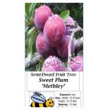 Plum Tree Red Japanese Methley