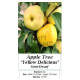 Apple Tree Yellow Delicious