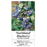 Blueberry Northland