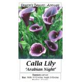 Arabian Night Calla Lily Annual
