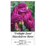 Twilight Zone Rose Hasslefree