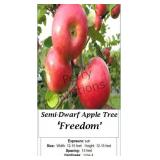 Apple Tree Orchard Starter Collection