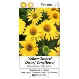 Coneflower Yellow Dwarf Ombre