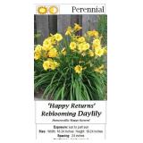 Daylily Yellow Rebloomer Happy Returns