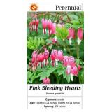 Bleeding Hearts