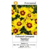 Sunkiss Copeopsis Yellow & Red