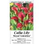 ONLINE ONLY PLANT AUCTION