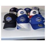 Collection of 10 Jimmie Johnson Team Lowe