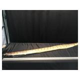 Rattle snake skin