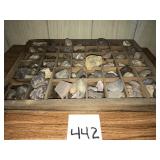 Printers Drawer with Rock Collection