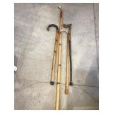 Canes & Walking Sticks