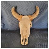Cow Skull with Horns