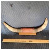 Bull Horns