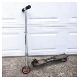 RipStick Razor Scooter