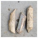 3 Beaver Cut Logs Approx 1