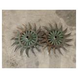 Cultivator Disks