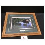 Wings of destiny Picture