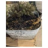 Square Galvanized Tup