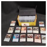 Magic The Gathering Foreign Edition Trading Cards