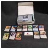 Magic The Gathering Foreign Edition Trading Cards