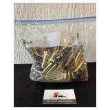 287 Shells Casings  - 308