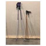 Walking Sticks