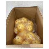 Four Dozen Whiffle Softballs