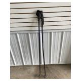 Ski Poles