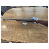 Western Field Model M172 Gun