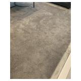 Large gray area rug