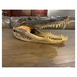Alligator taxidermy mount