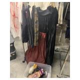 Halloween costumes and accessories