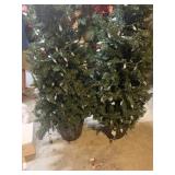 2-5ft outdoor Christmas trees