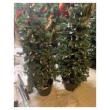 2-5ft outdoor Christmas trees