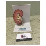 Doctors office displays