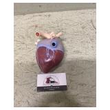 Doctors office displays Heart