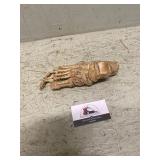 Doctors office displays the foot