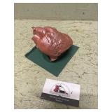 Doctors office display