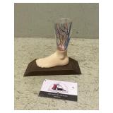 Doctors office displays veins in the leg