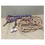 Lead ropes